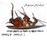  سمپاشی منازل